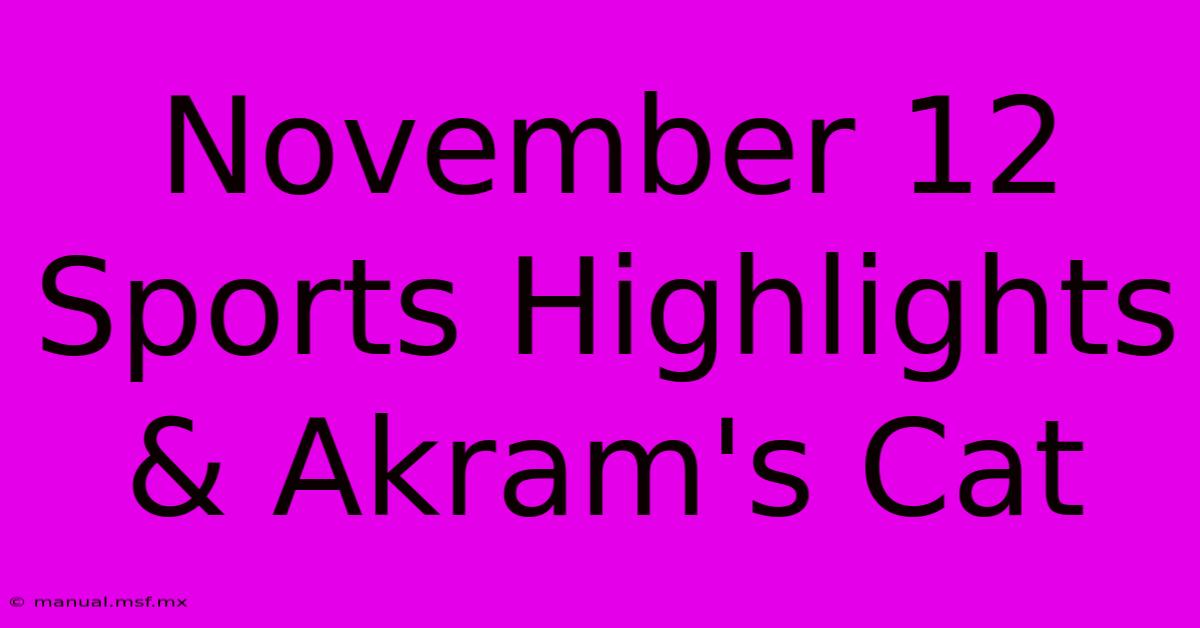 November 12 Sports Highlights & Akram's Cat