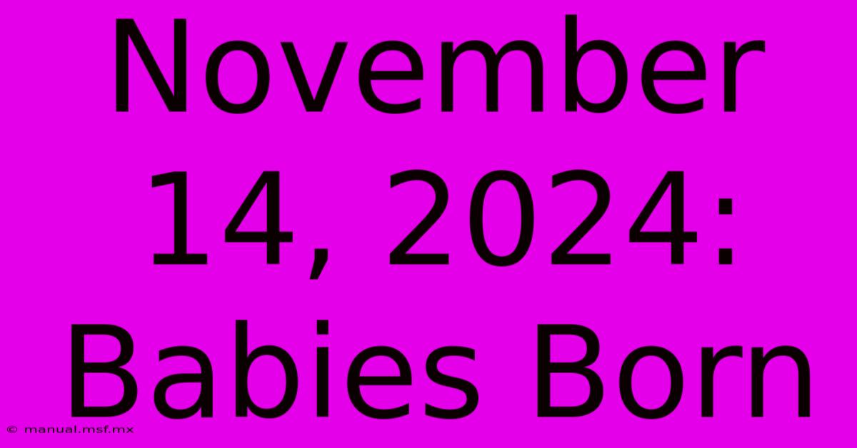 November 14, 2024: Babies Born