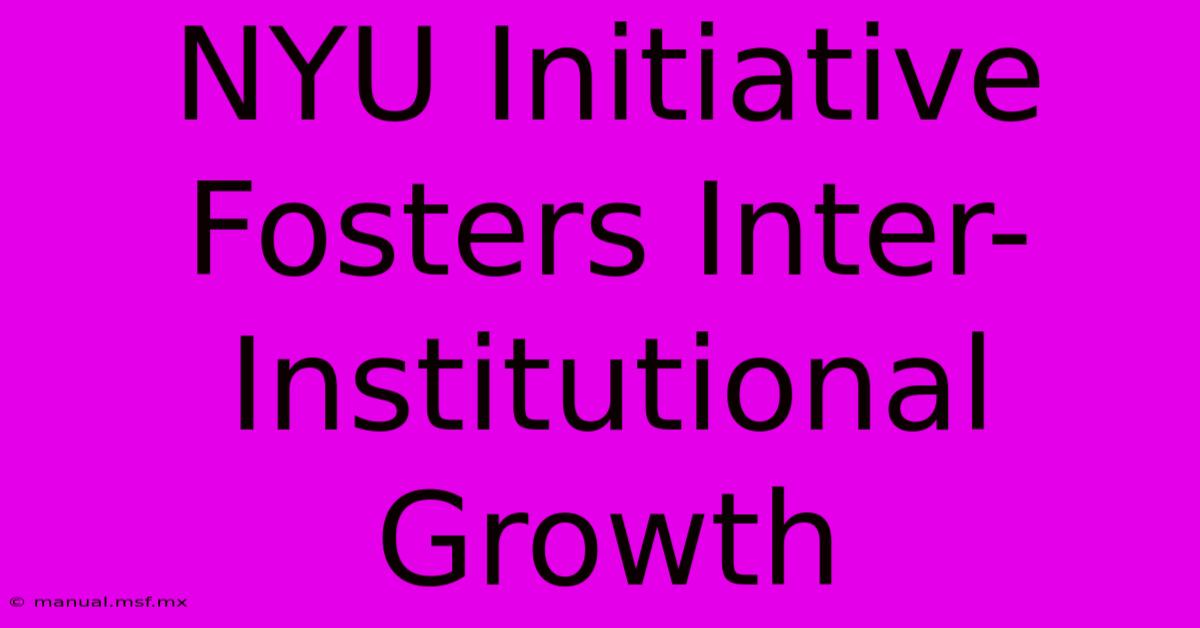 NYU Initiative Fosters Inter-Institutional Growth 