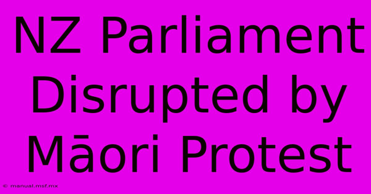 NZ Parliament Disrupted By Māori Protest