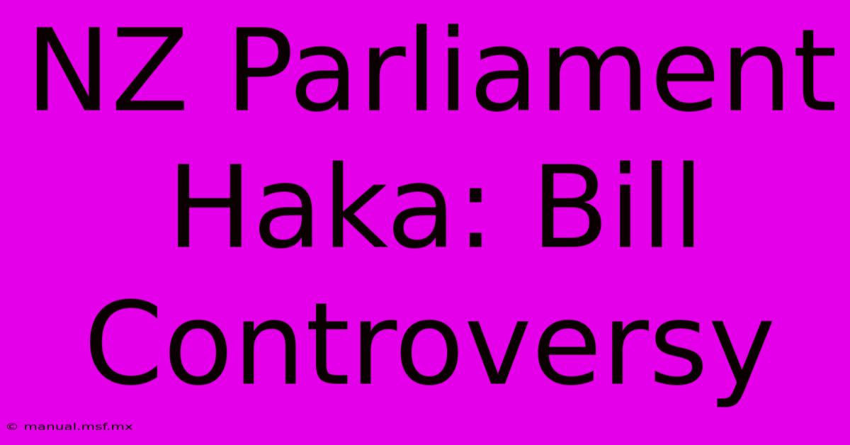 NZ Parliament Haka: Bill Controversy 