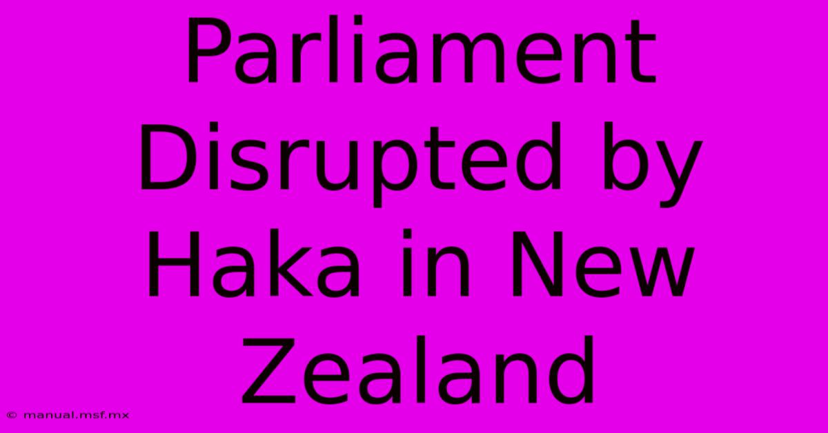 Parliament Disrupted By Haka In New Zealand