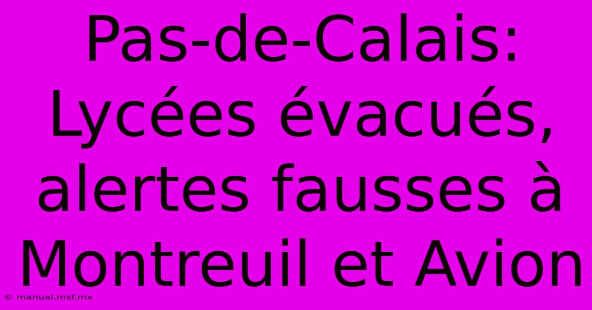 Pas-de-Calais: Lycées Évacués, Alertes Fausses À Montreuil Et Avion 