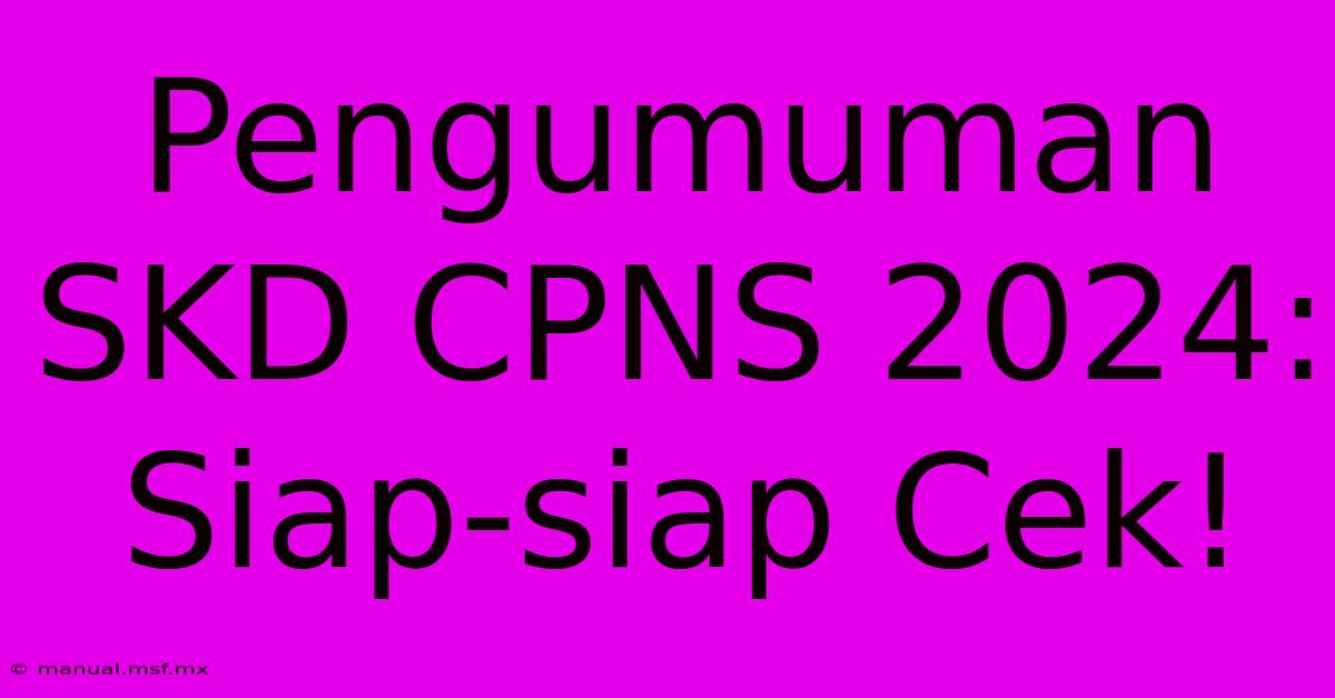 Pengumuman SKD CPNS 2024: Siap-siap Cek!