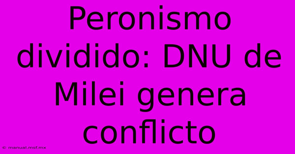 Peronismo Dividido: DNU De Milei Genera Conflicto 