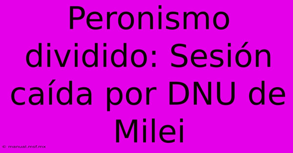 Peronismo Dividido: Sesión Caída Por DNU De Milei