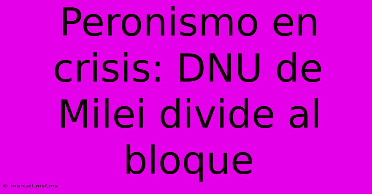 Peronismo En Crisis: DNU De Milei Divide Al Bloque