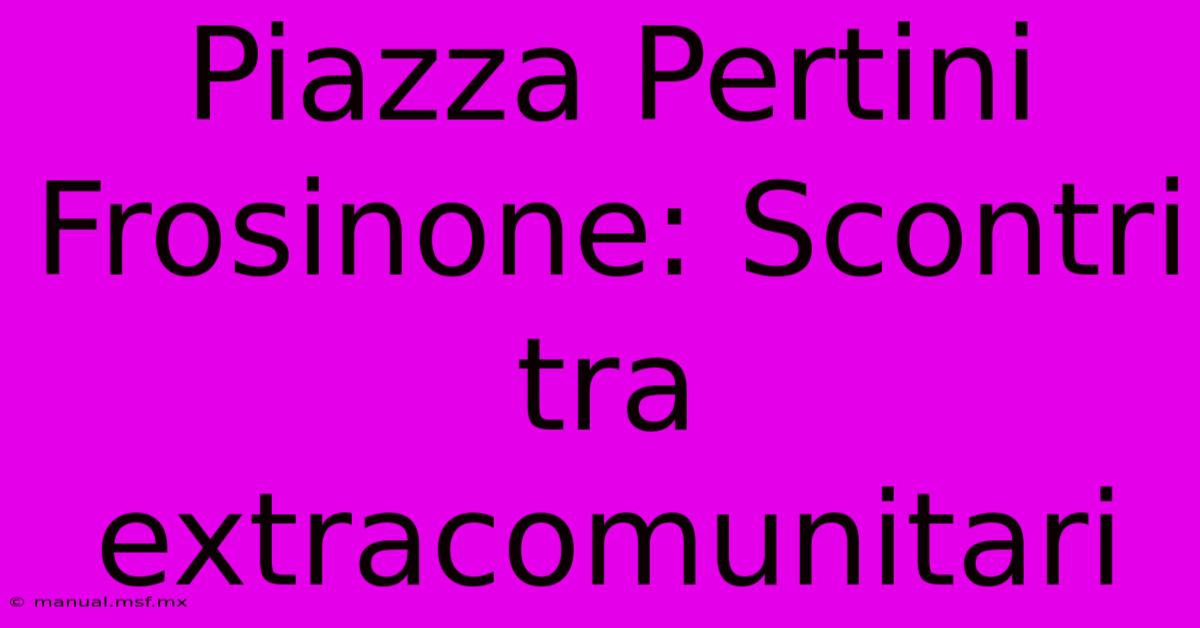 Piazza Pertini Frosinone: Scontri Tra Extracomunitari