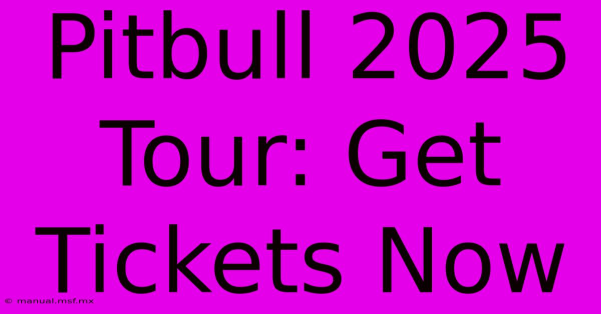 Pitbull 2025 Tour: Get Tickets Now