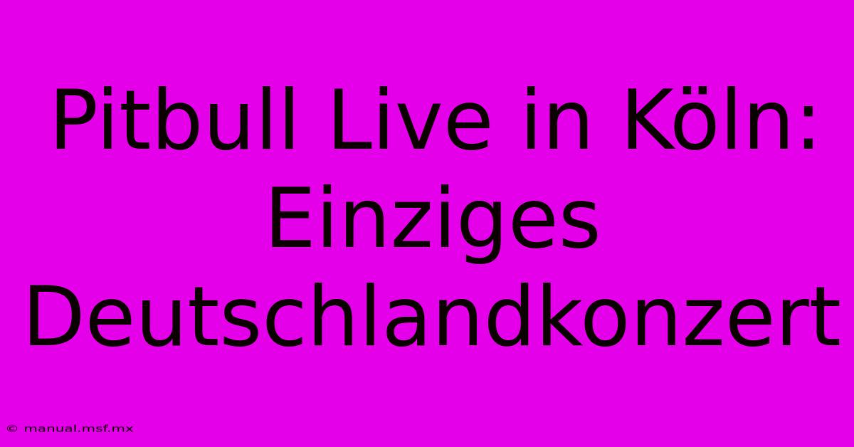 Pitbull Live In Köln: Einziges Deutschlandkonzert