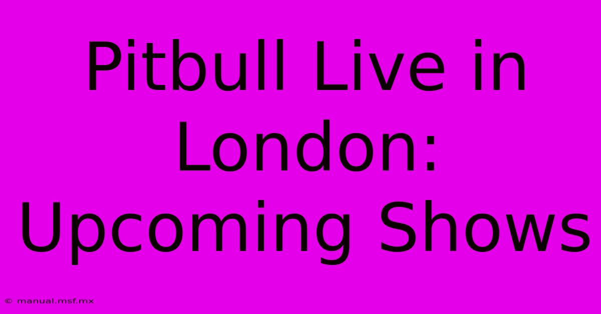 Pitbull Live In London: Upcoming Shows