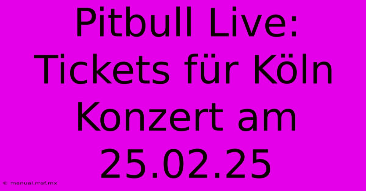 Pitbull Live: Tickets Für Köln Konzert Am 25.02.25 