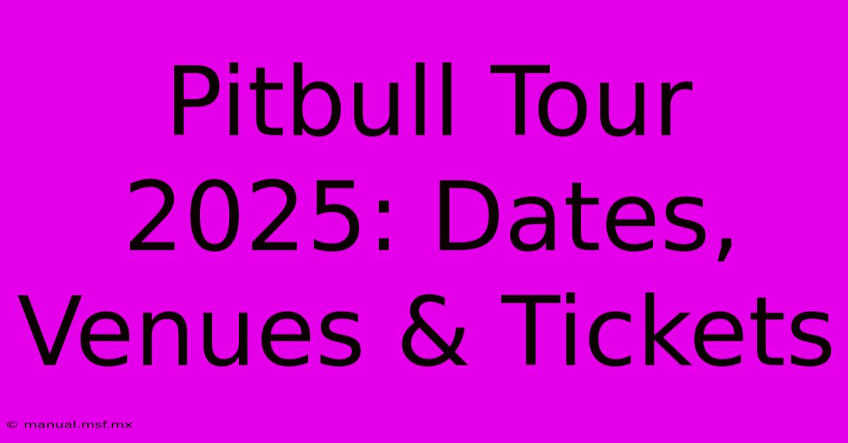 Pitbull Tour 2025: Dates, Venues & Tickets