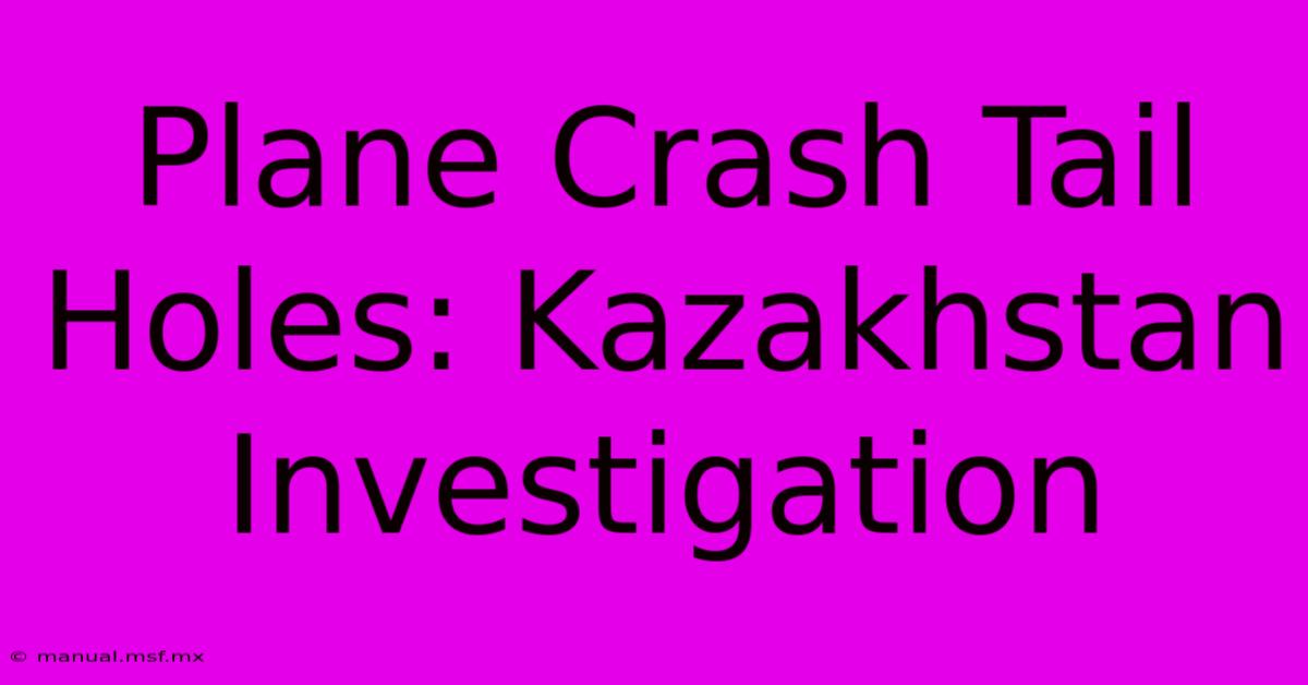 Plane Crash Tail Holes: Kazakhstan Investigation