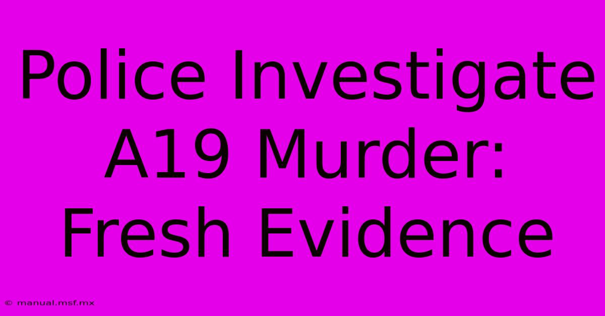 Police Investigate A19 Murder: Fresh Evidence