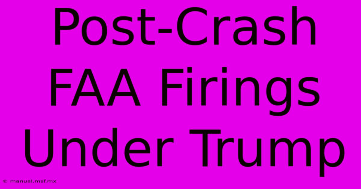 Post-Crash FAA Firings Under Trump