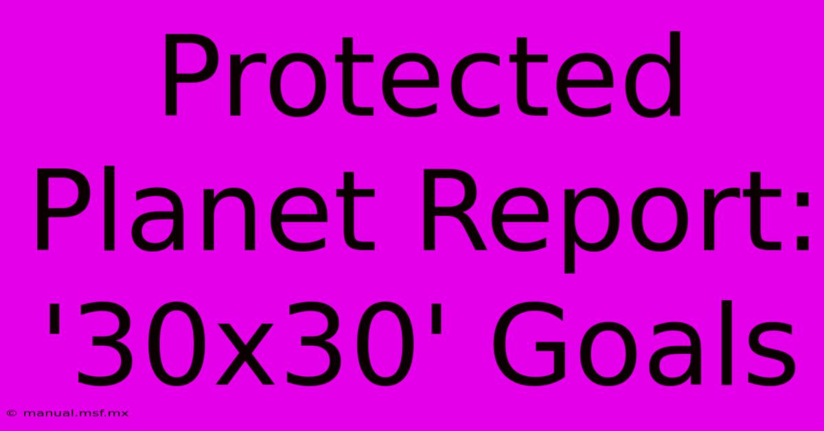 Protected Planet Report: '30x30' Goals