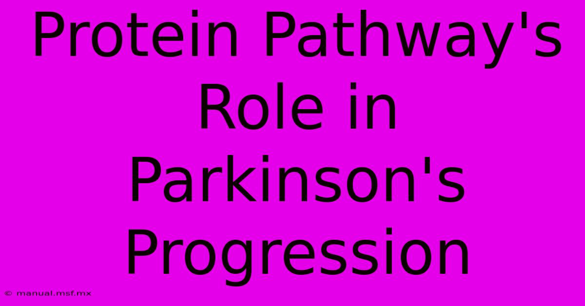 Protein Pathway's Role In Parkinson's Progression