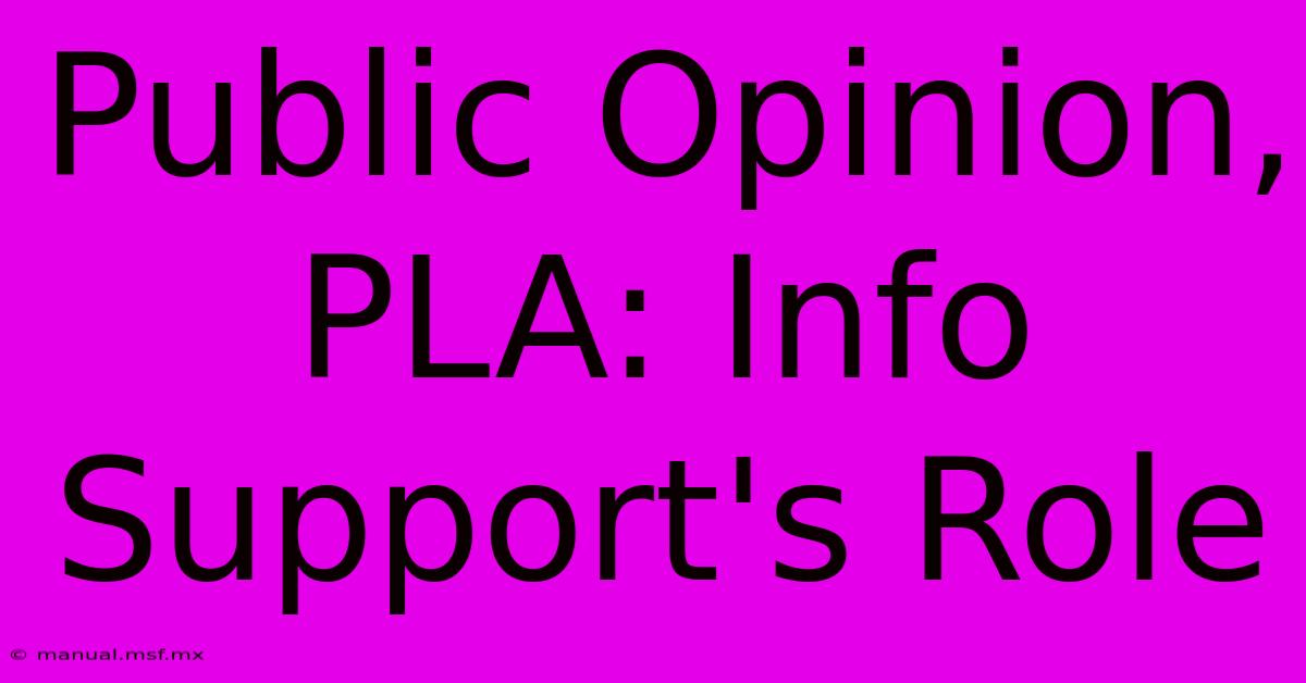 Public Opinion, PLA: Info Support's Role