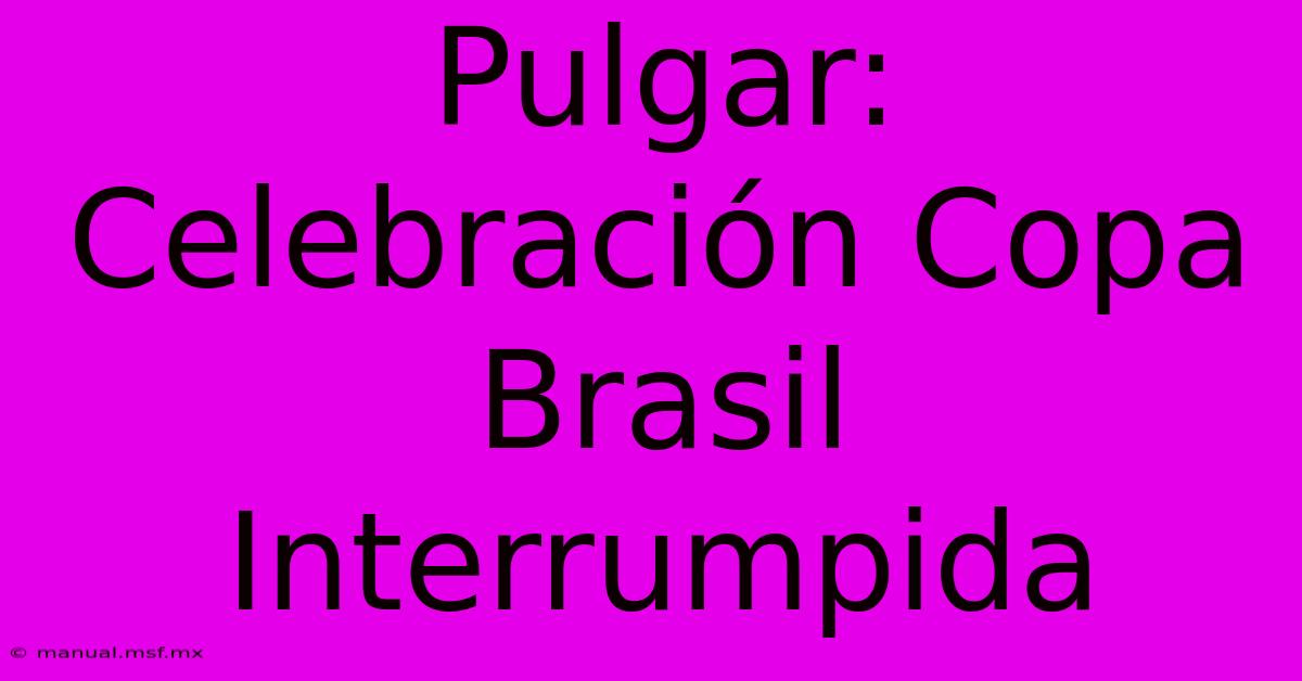 Pulgar: Celebración Copa Brasil Interrumpida