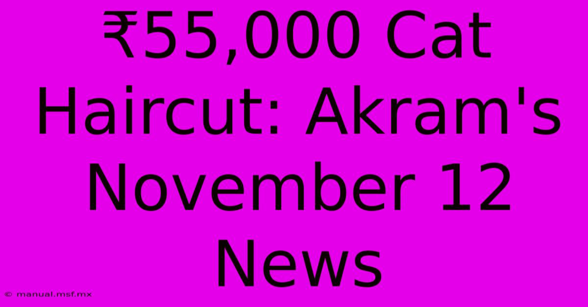 ₹55,000 Cat Haircut: Akram's November 12 News