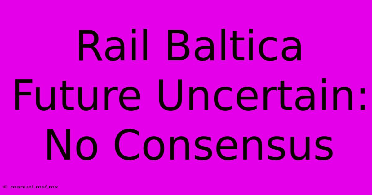 Rail Baltica Future Uncertain: No Consensus