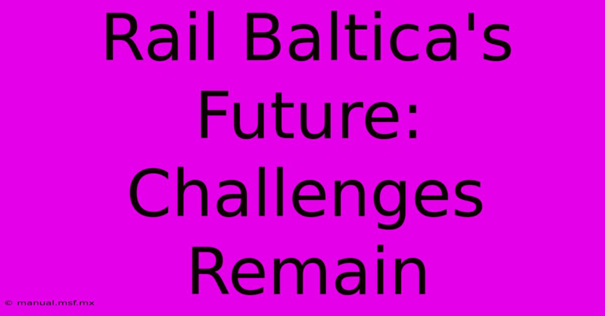 Rail Baltica's Future: Challenges Remain 