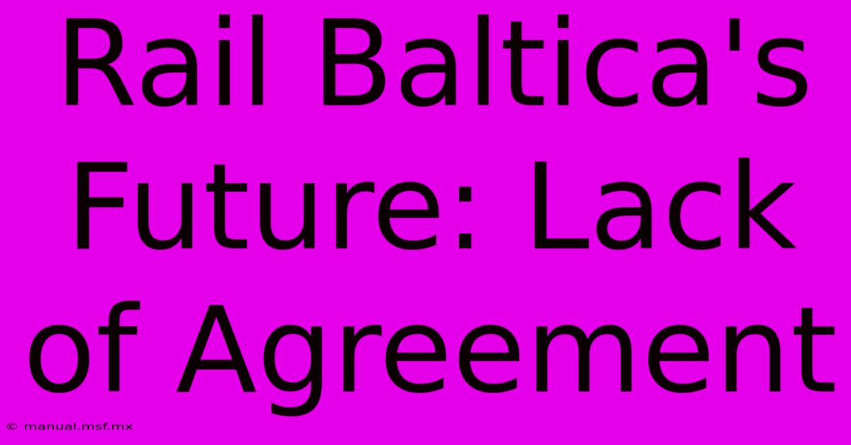 Rail Baltica's Future: Lack Of Agreement