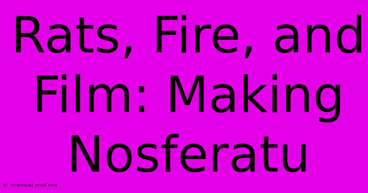 Rats, Fire, And Film: Making Nosferatu