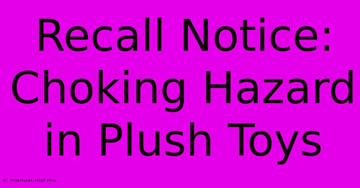 Recall Notice: Choking Hazard In Plush Toys