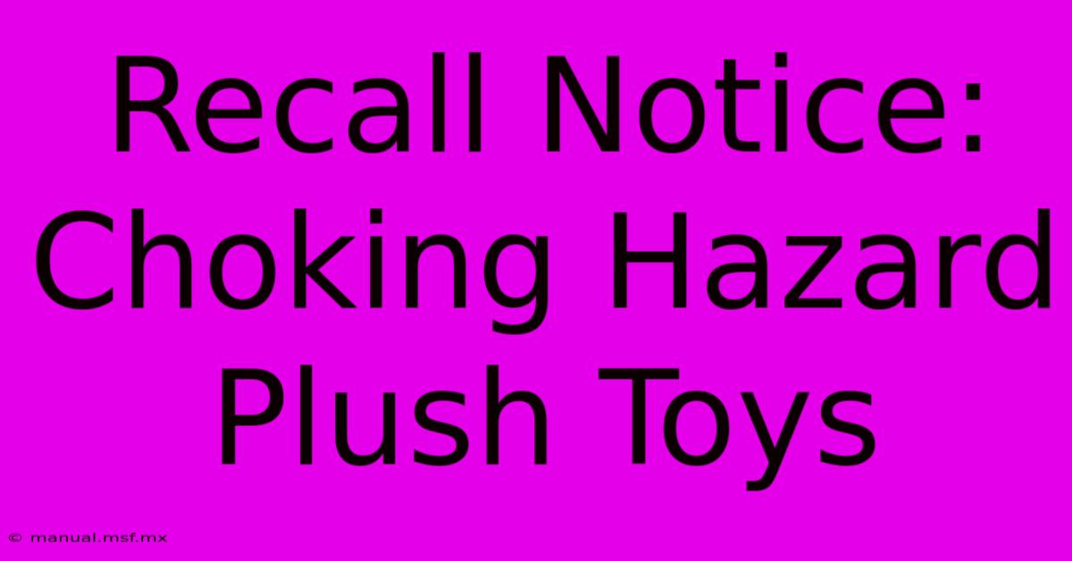 Recall Notice: Choking Hazard Plush Toys