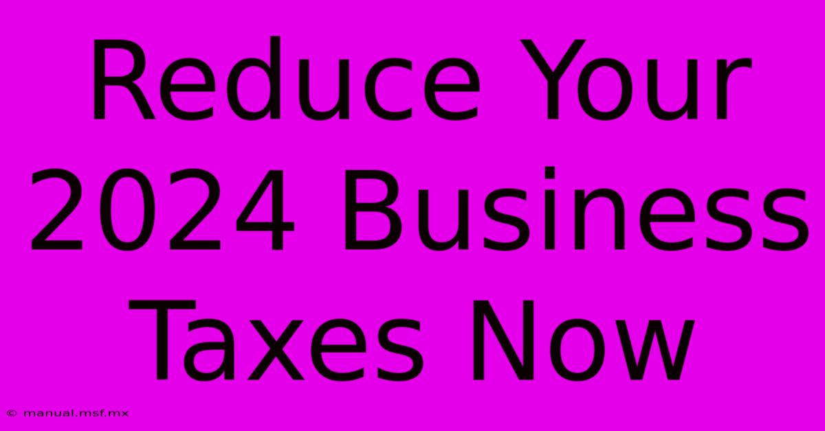 Reduce Your 2024 Business Taxes Now