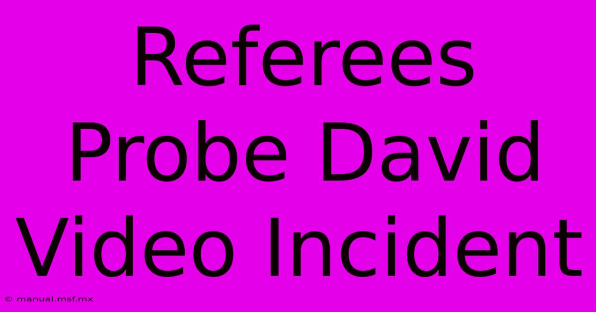 Referees Probe David Video Incident 