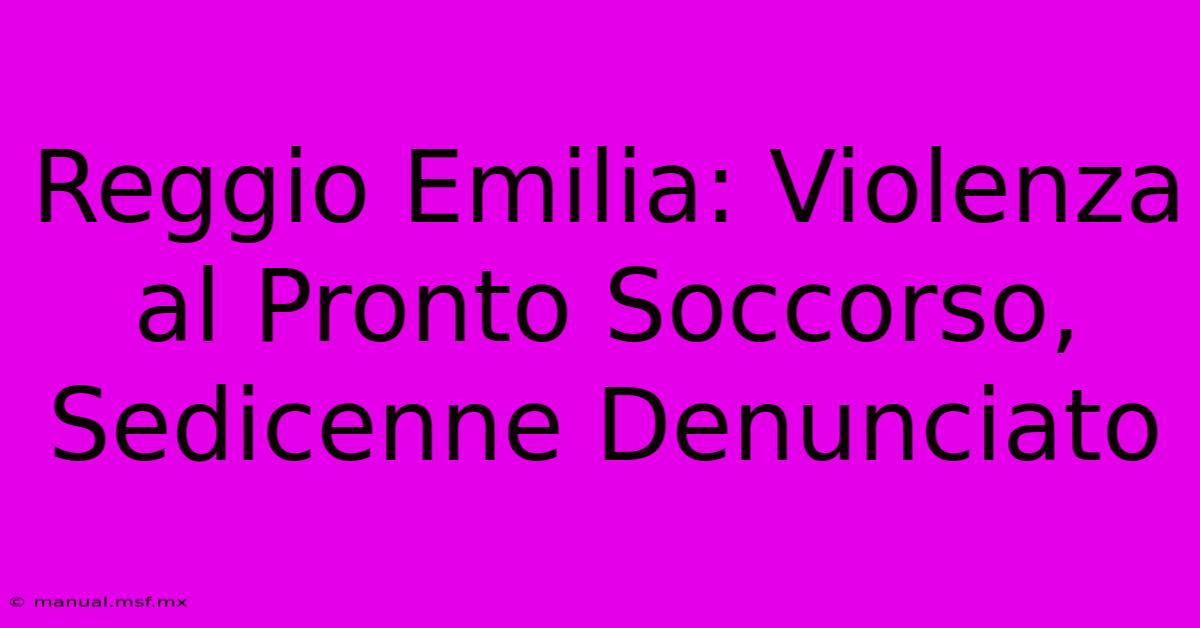 Reggio Emilia: Violenza Al Pronto Soccorso, Sedicenne Denunciato 