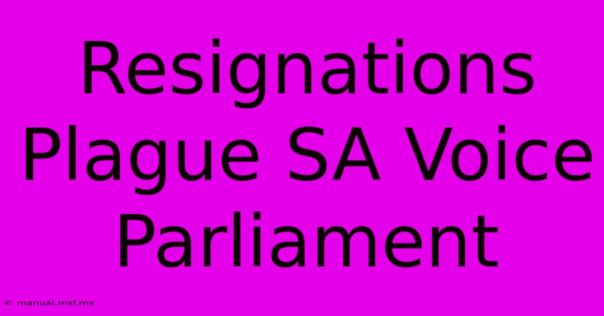 Resignations Plague SA Voice Parliament