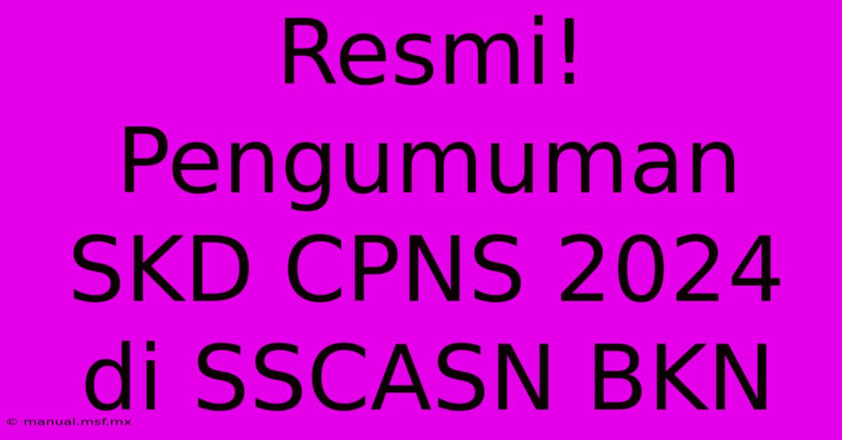 Resmi! Pengumuman SKD CPNS 2024 Di SSCASN BKN