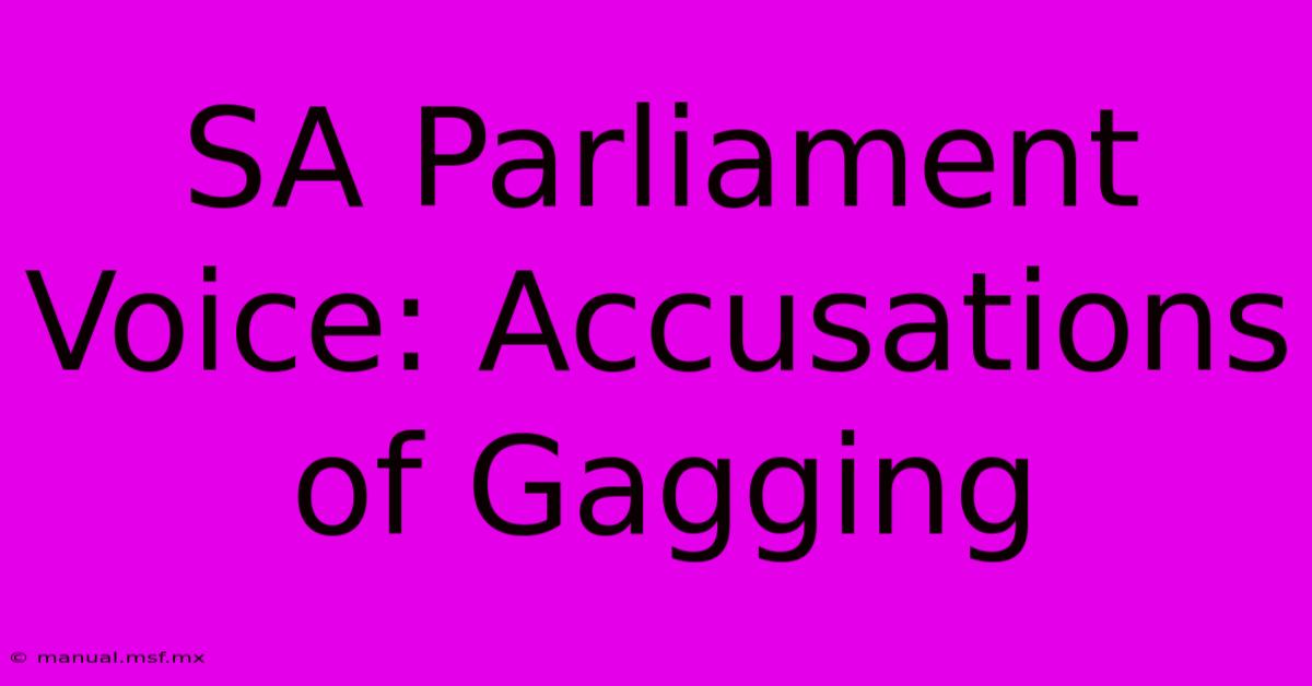 SA Parliament Voice: Accusations Of Gagging