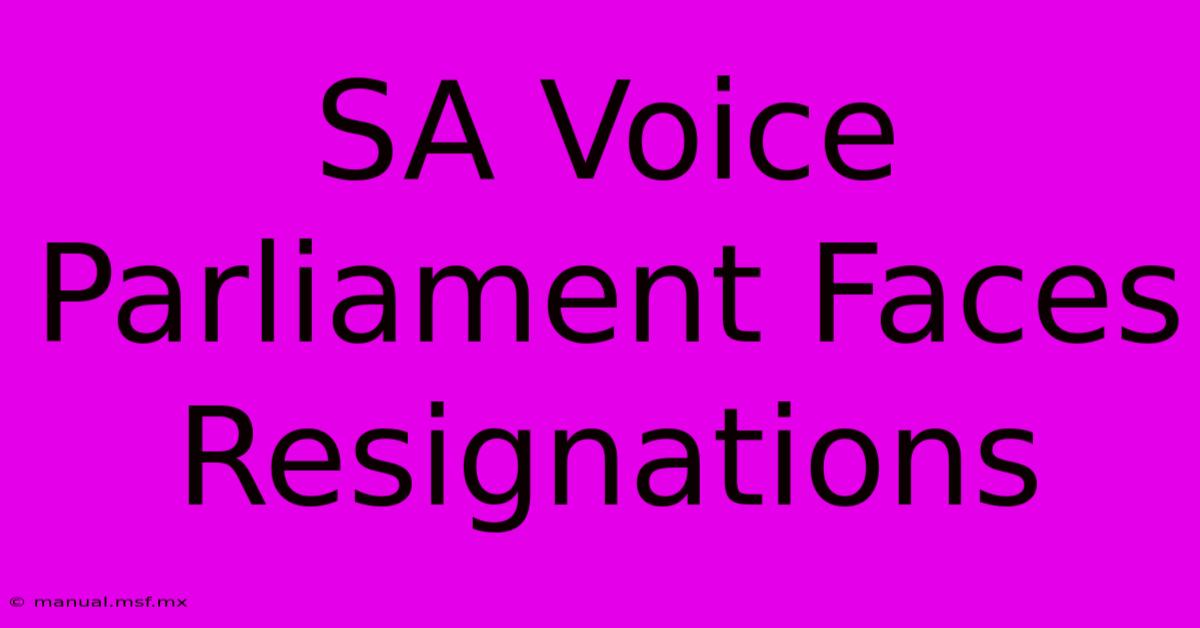 SA Voice Parliament Faces Resignations