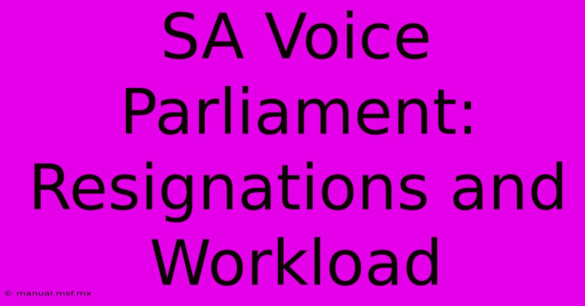 SA Voice Parliament: Resignations And Workload