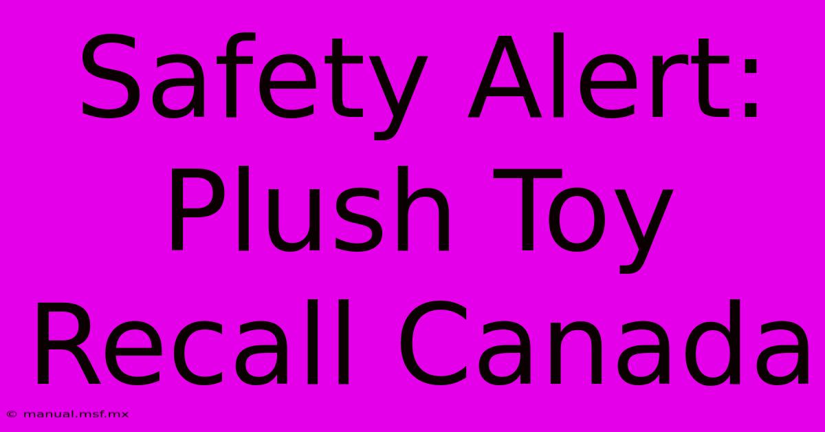 Safety Alert: Plush Toy Recall Canada