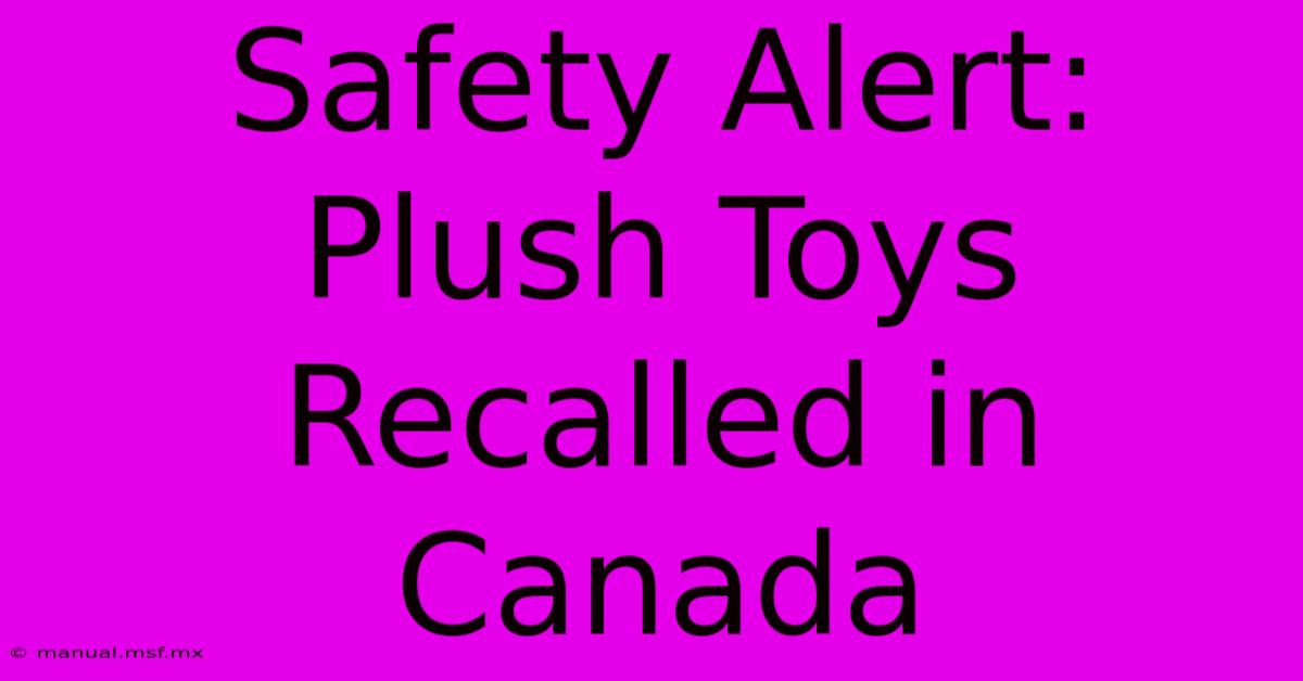 Safety Alert: Plush Toys Recalled In Canada