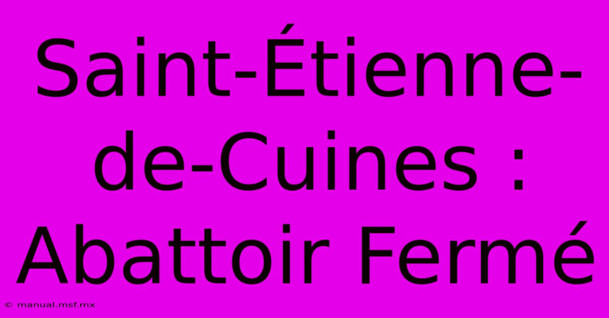 Saint-Étienne-de-Cuines : Abattoir Fermé 