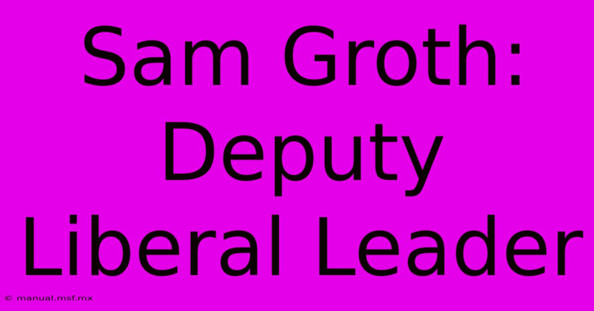 Sam Groth: Deputy Liberal Leader