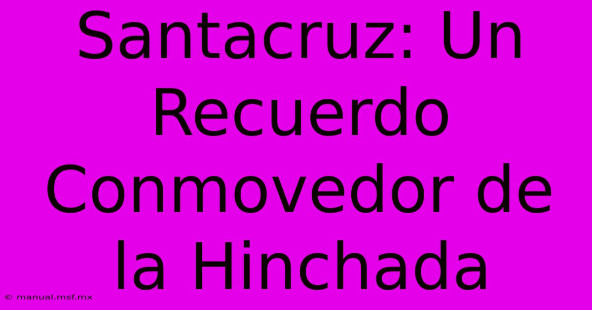 Santacruz: Un Recuerdo Conmovedor De La Hinchada