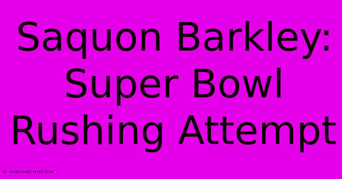 Saquon Barkley: Super Bowl Rushing Attempt