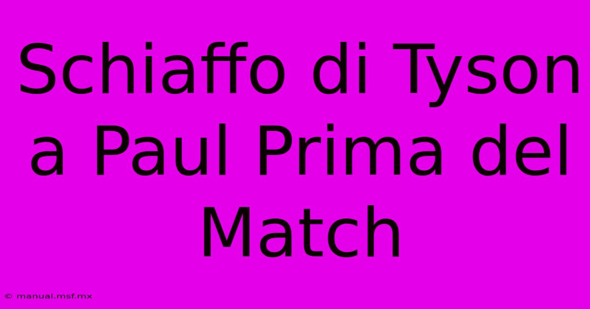 Schiaffo Di Tyson A Paul Prima Del Match