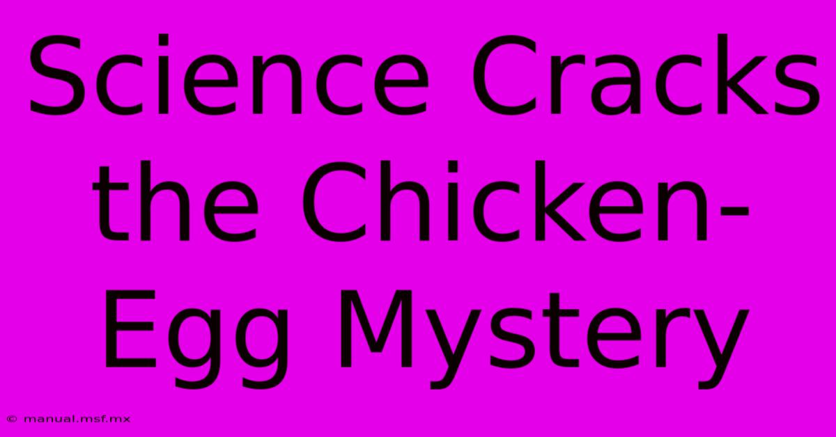 Science Cracks The Chicken-Egg Mystery