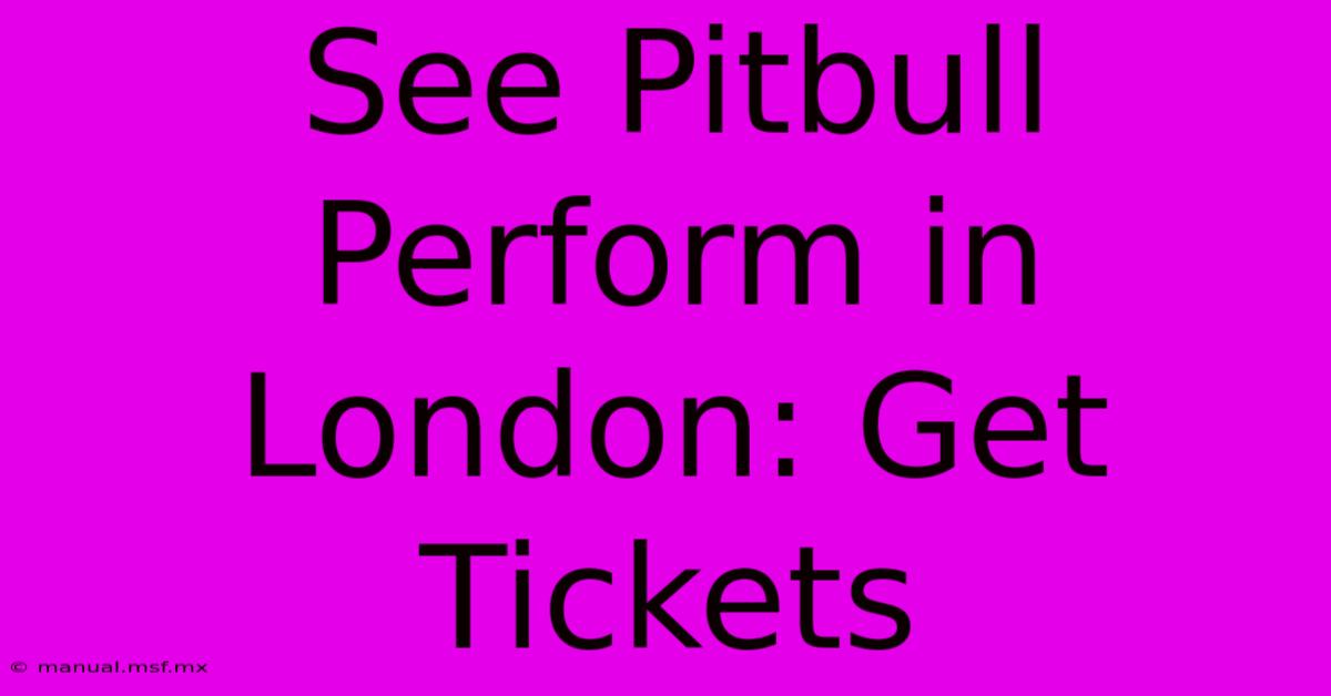 See Pitbull Perform In London: Get Tickets