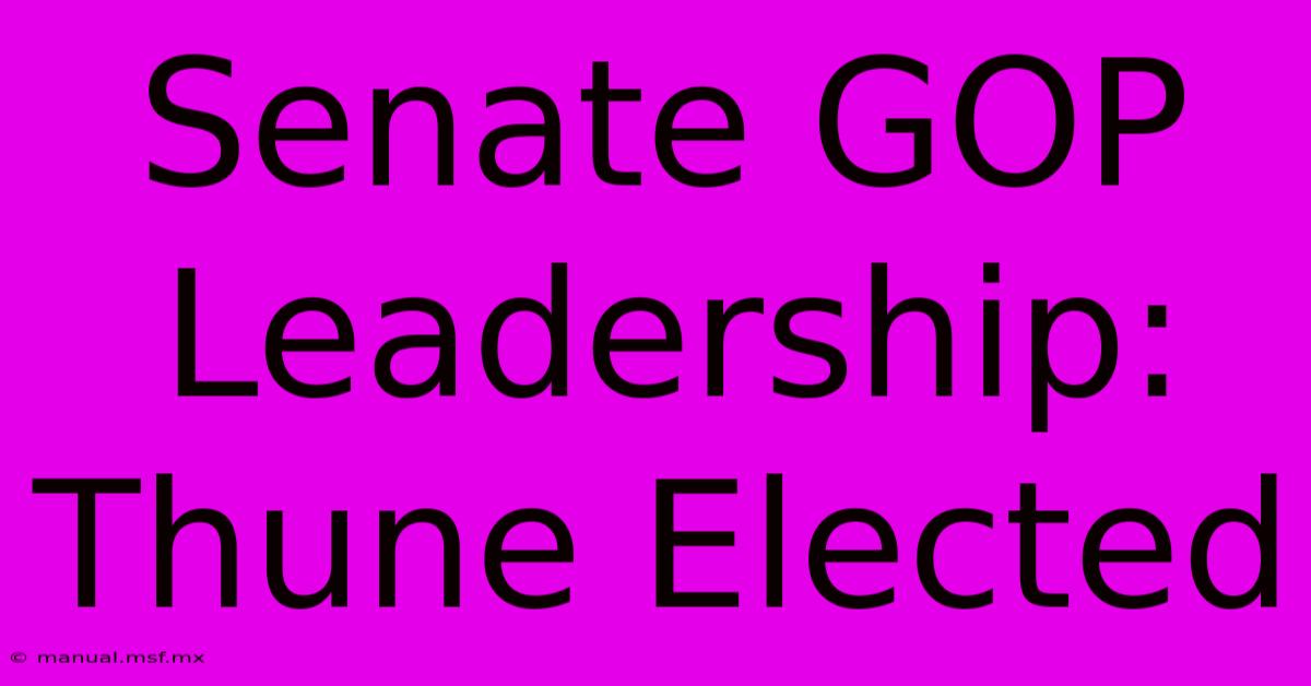 Senate GOP Leadership: Thune Elected 