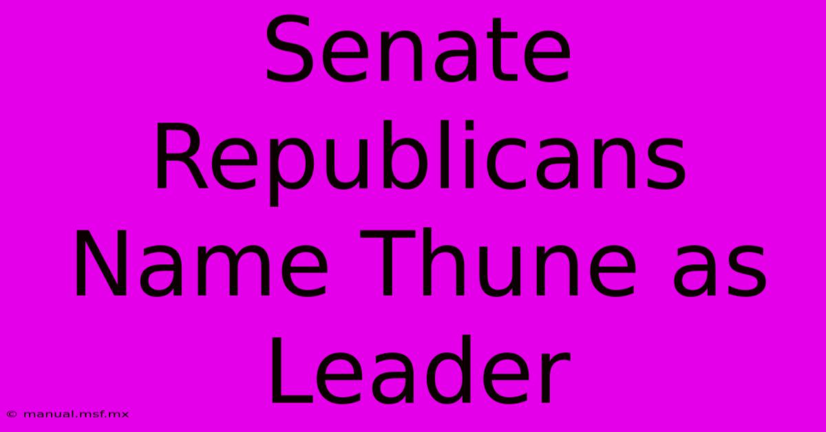 Senate Republicans Name Thune As Leader 